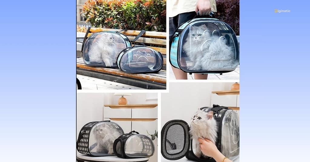 bai online pet travel permit travel bag